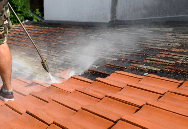 Best Concrete Pressure Washing  in Tamiami, FL