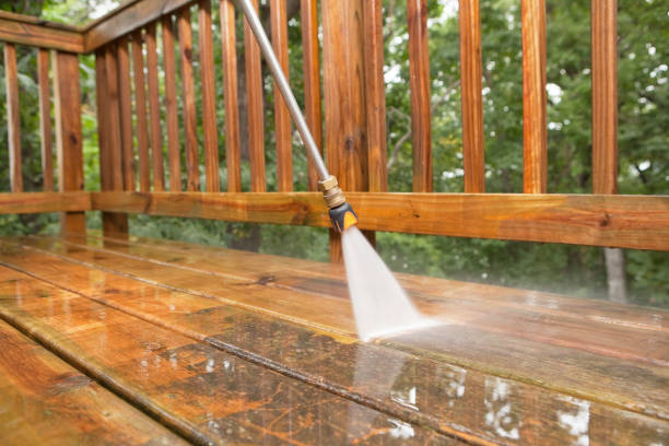 Best Residential Pressure Washing Services  in Tamiami, FL