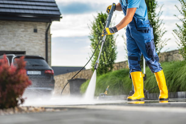 Best Roof Pressure Washing  in Tamiami, FL